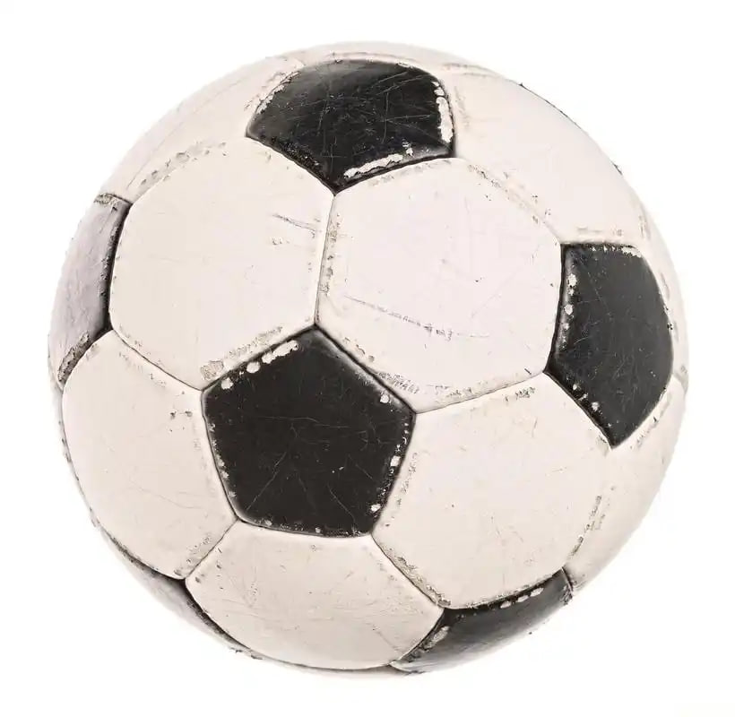 体育教练员使用场景